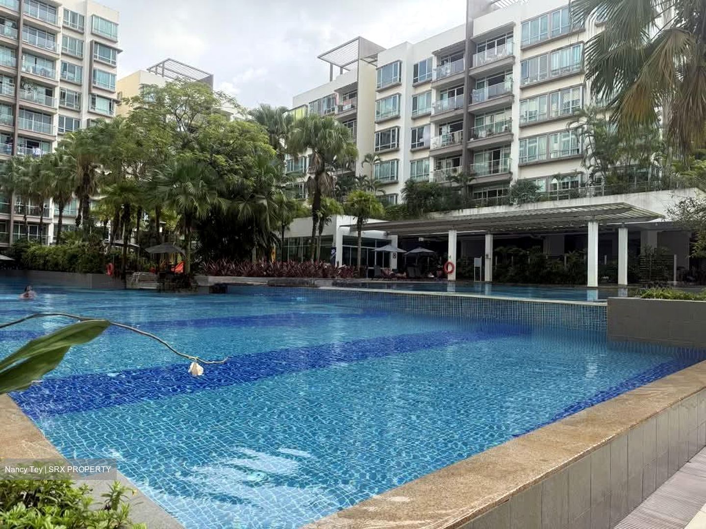 The Raintree (D21), Condominium #598590951